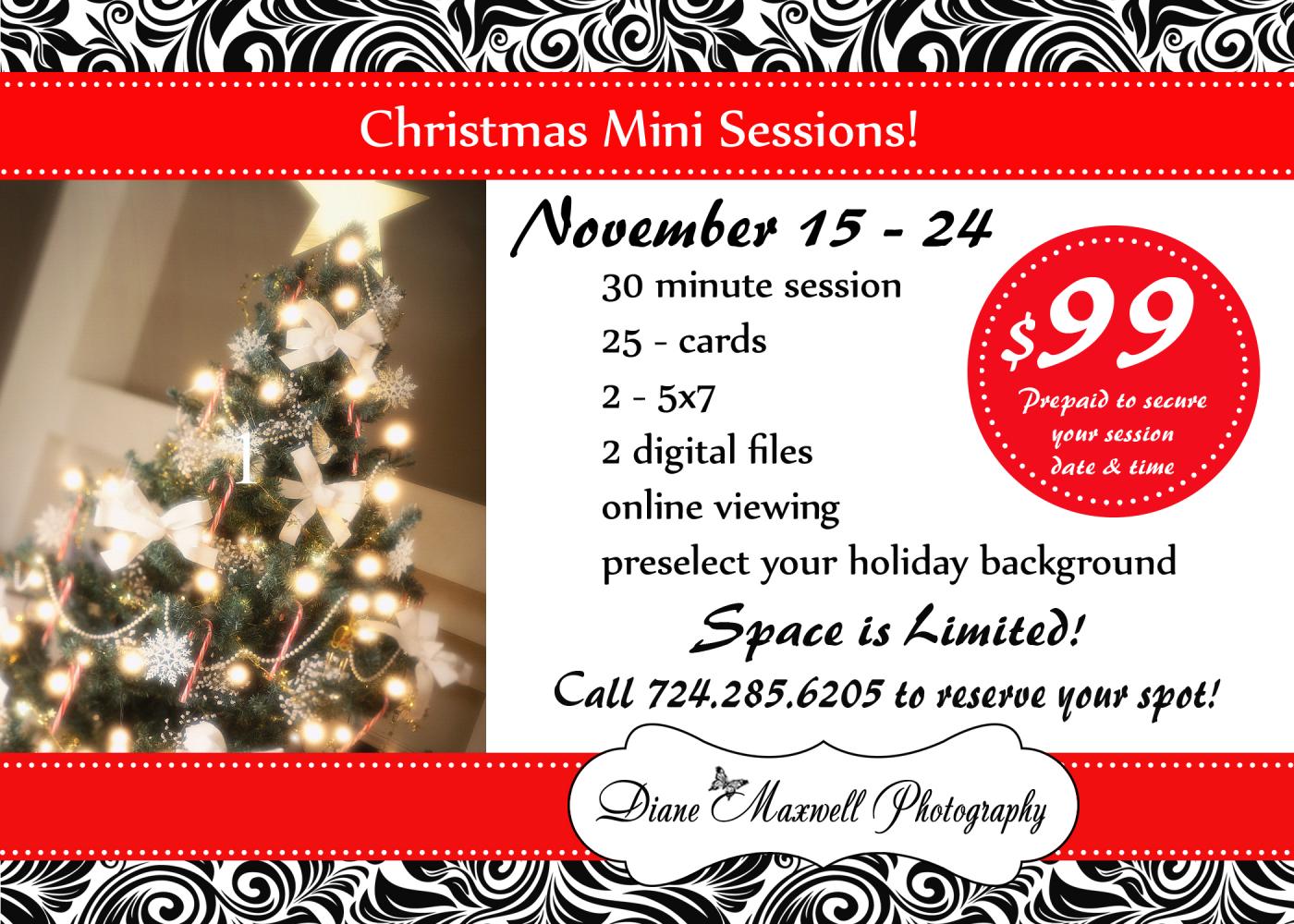 Christmas Mini Sessions from November 15 - 24